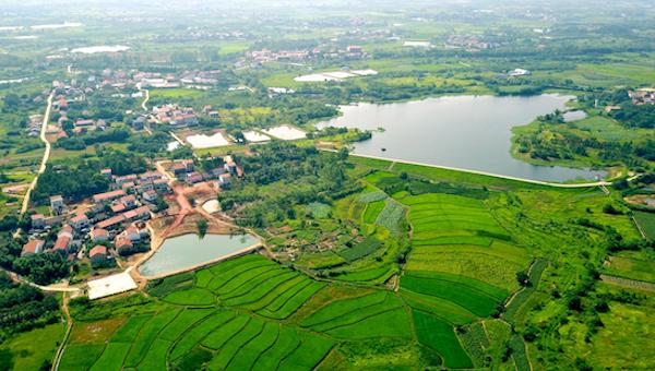 实心村是乡村振兴的基础.jpeg 实心村是乡村振兴的基础.jpeg