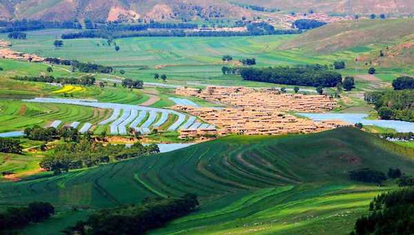 实心村是乡村振兴的基础.jpeg 实心村是乡村振兴的基础.jpeg