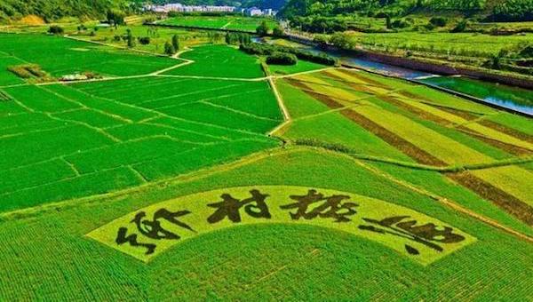 乡村振兴.jpeg 乡村振兴.jpeg