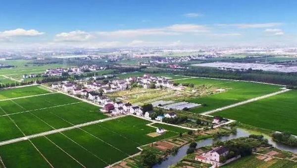 乡村振兴.jpeg 乡村振兴.jpeg