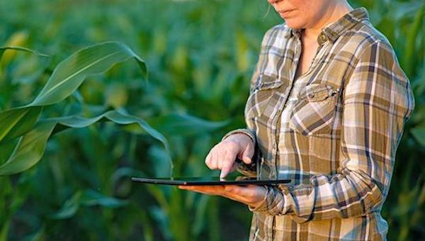 乡村振兴与智慧农业的开展息息相关.jpeg 乡村振兴与智慧农业的开展息息相关.jpeg