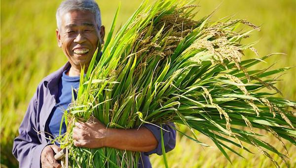 水肥一体化的应用范围.jpeg 水肥一体化的应用范围.jpeg