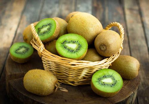 猕猴桃搭架中的棚架方式.jpeg 猕猴桃搭架中的棚架方式.jpeg