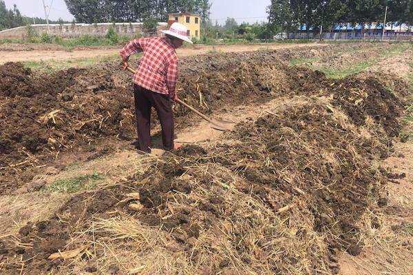 如何科学利用粪肥?.jpeg 如何科学利用粪肥?.jpeg