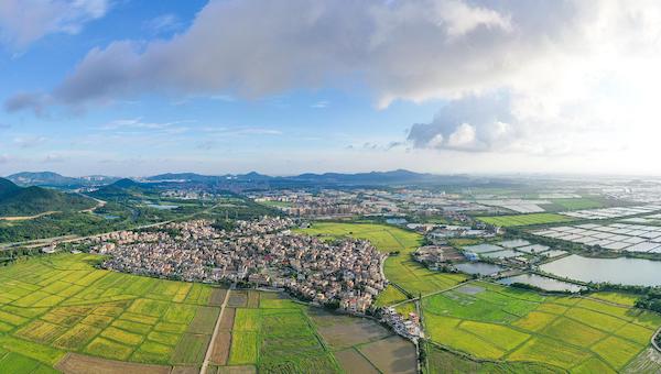 乡村振兴这笔资金会投放到哪里去.jpeg 乡村振兴这笔资金会投放到哪里去.jpeg