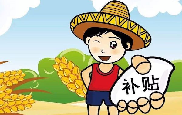 2021山东种粮农户农业补贴政策.jpeg 2021山东种粮农户农业补贴政策.jpeg