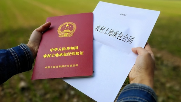 三大证件之土地承包经营权证.jpeg 三大证件之土地承包经营权证.jpeg