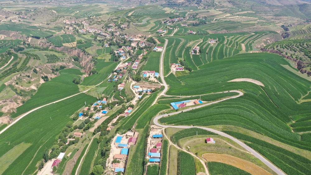 农业物联网是智慧农业的基础.jpeg 农业物联网是智慧农业的基础.jpeg