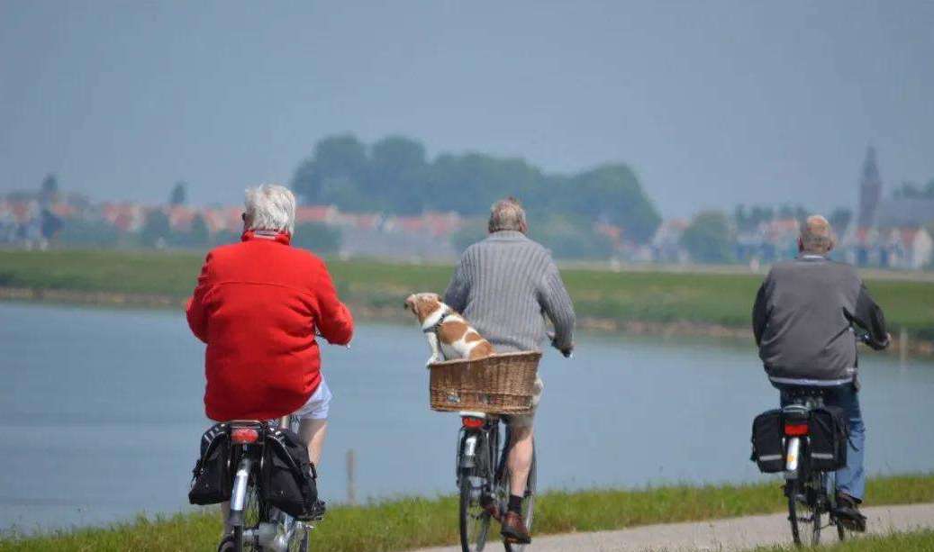 低龄老人可以外出就业?.jpeg 低龄老人可以外出就业?.jpeg